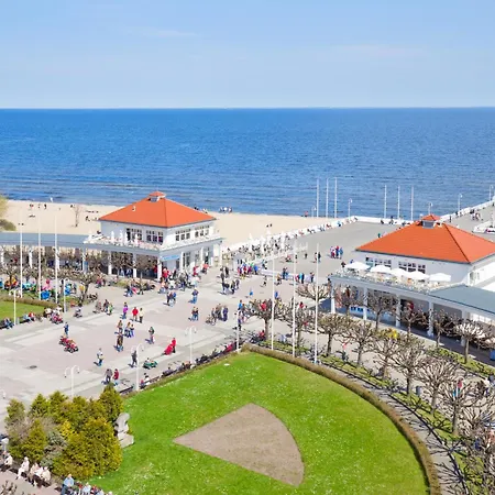 Cassino Royal I - Premium *