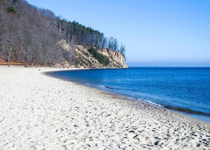 Cassino Royal I - Premium