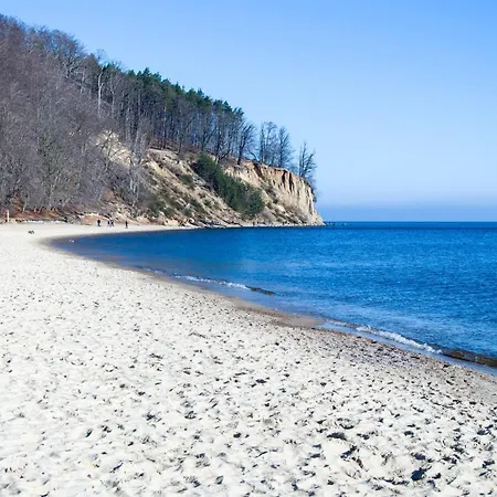 Cassino Royal I - Premium